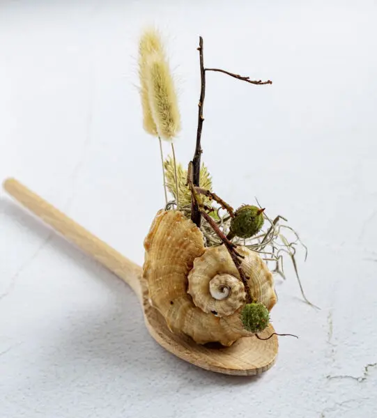 Schelpendecoratie maken voor in de keuken