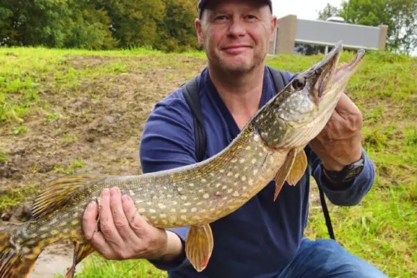 Roofvissen door de Seizoenen: Strategie en Tactiek