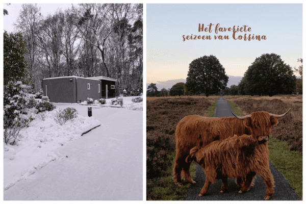 Het favoriete seizoen van Corrina