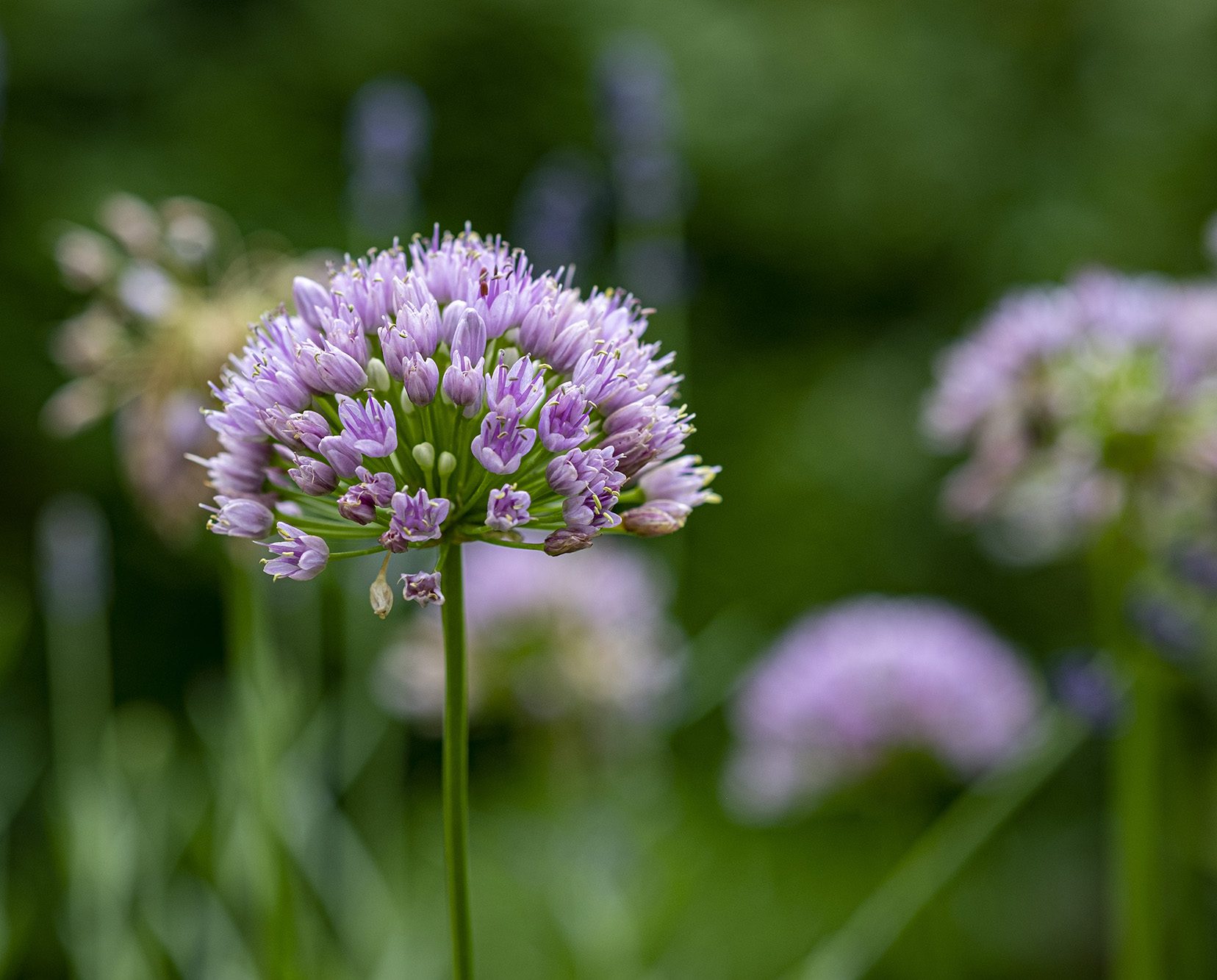 Met de wisseling van de seizoenen,