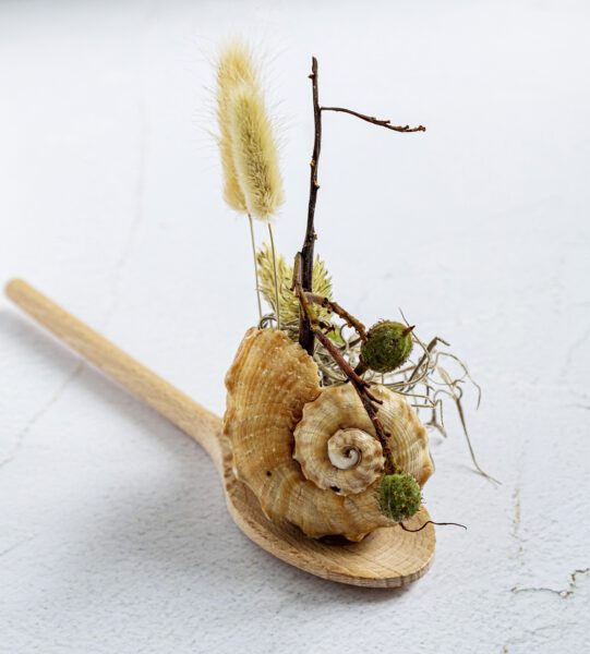 Schelpendecoratie maken voor in de keuken