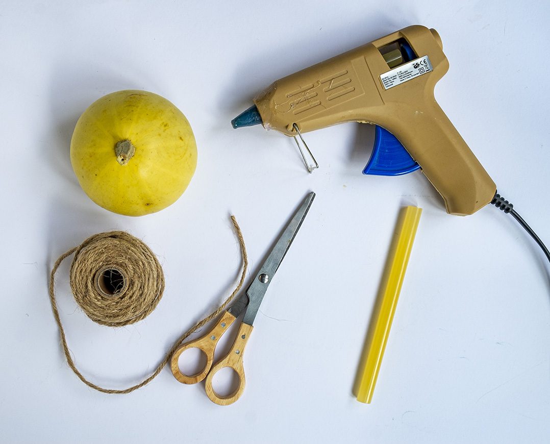 Benodigdheden voor 1 diy pompoen