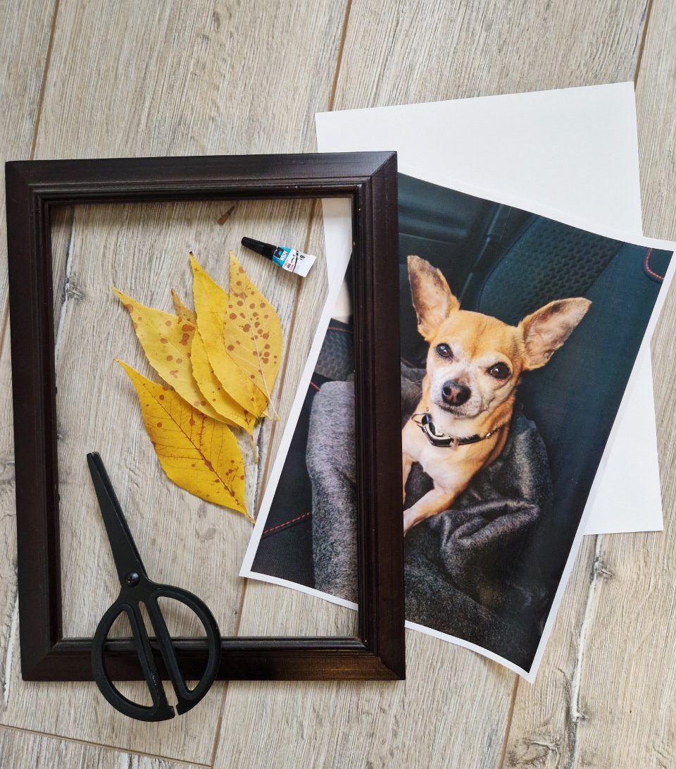 Benodigdheden: voor 1 diy portret