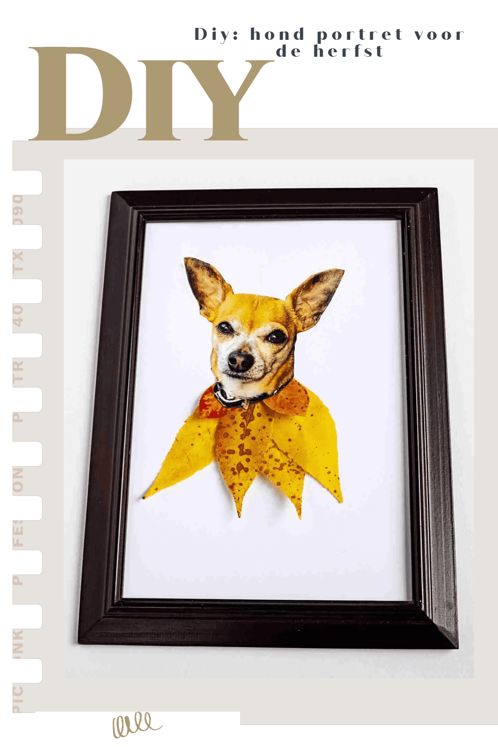 Instructies : voor 1 diy portret