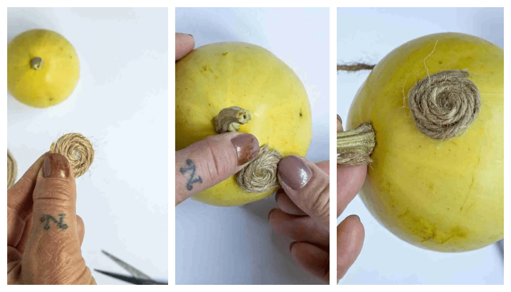 Instructies : voor 1 diy pompoen