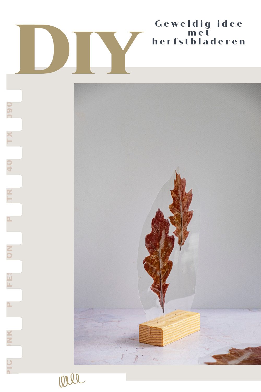 Geweldig idee met herfstbladeren