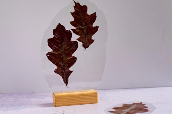 Geweldige idee met herfstbladeren