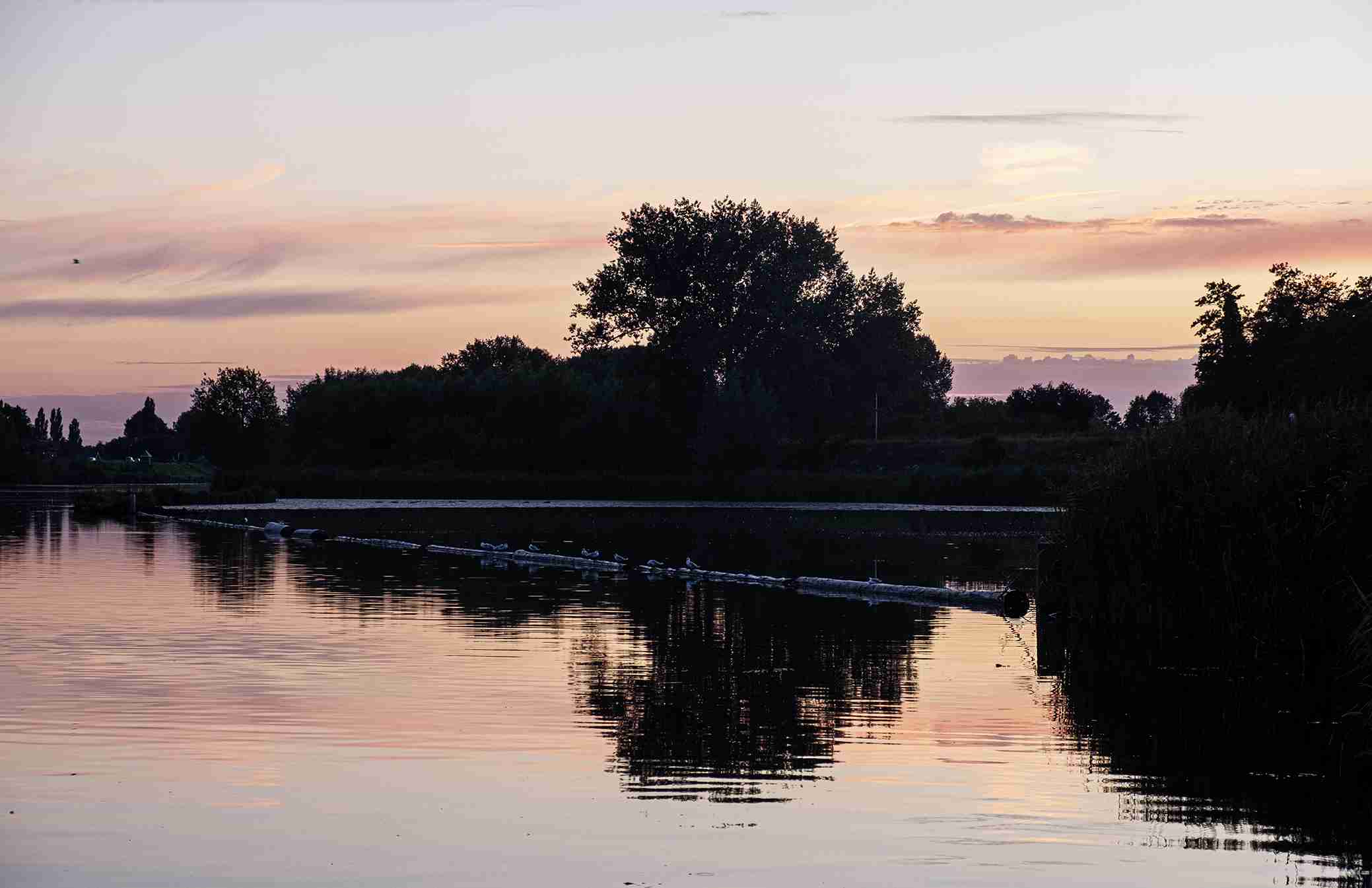 Het favoriete seizoen van Elsa