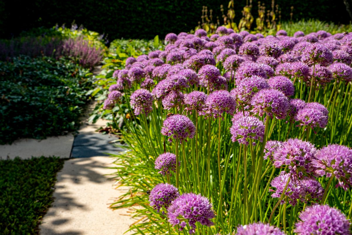 Het favoriete seizoen van