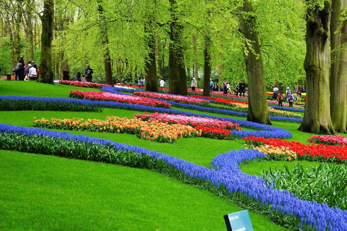 Keukenhof