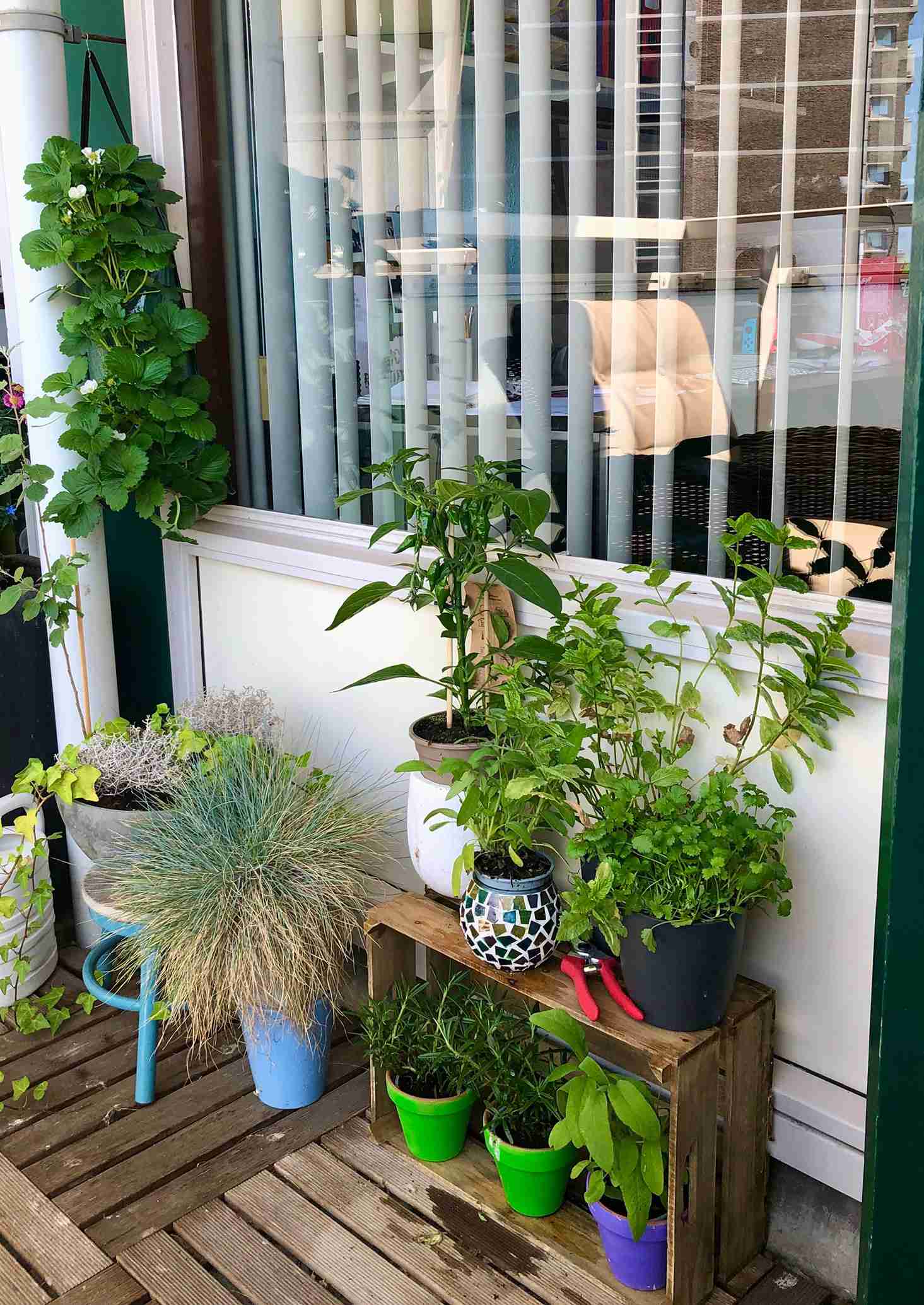 genieten van mijn balkonnetje met een boek