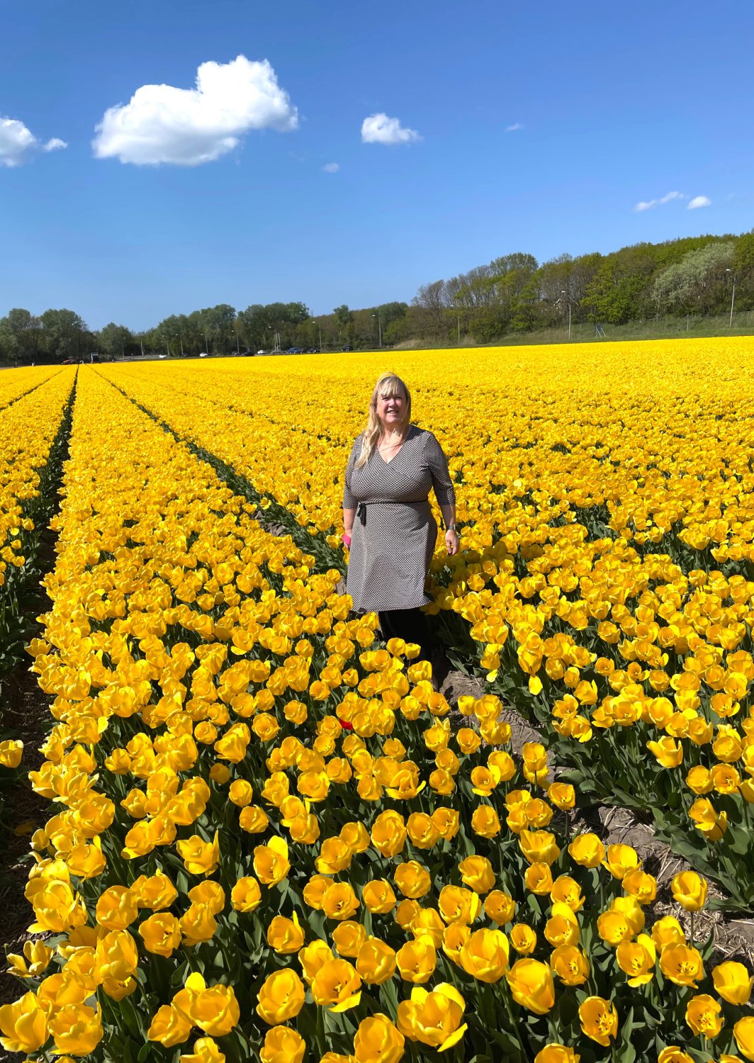 Tulpen foto van myhappykitchen