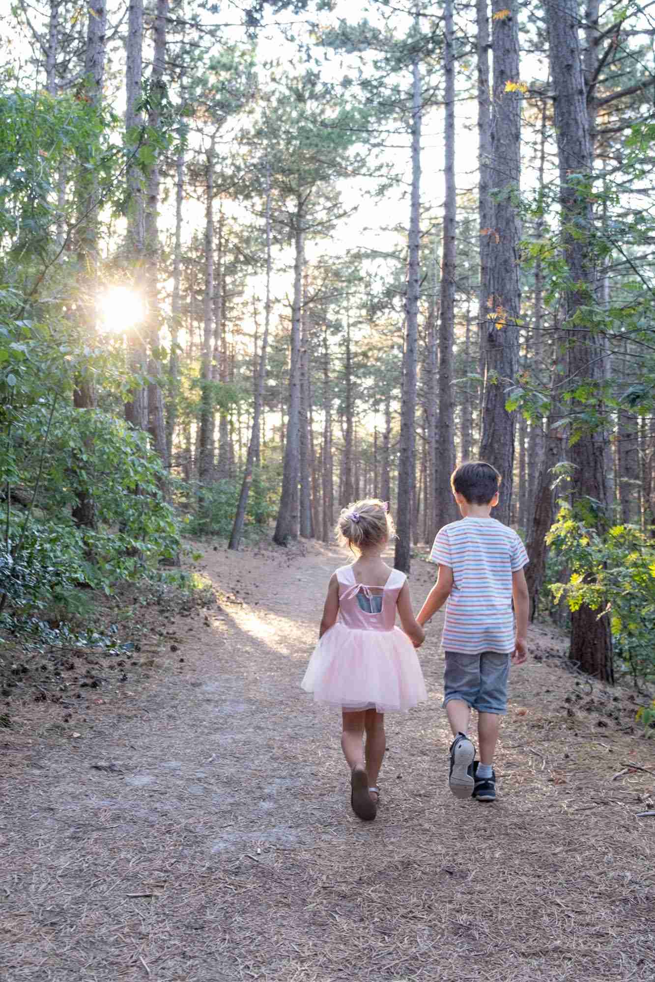 favoriete seizoen foto