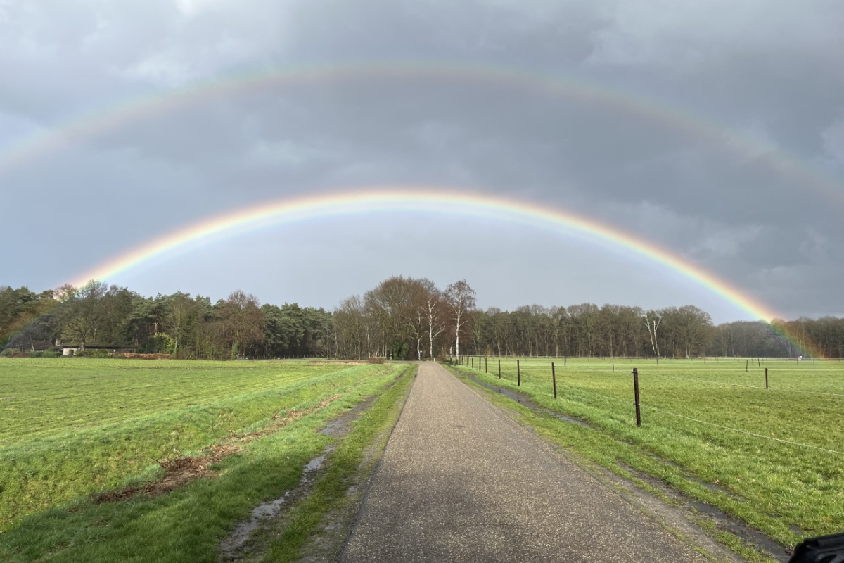 1 maart roert zijn staart maar dit is het prachtige resultaat