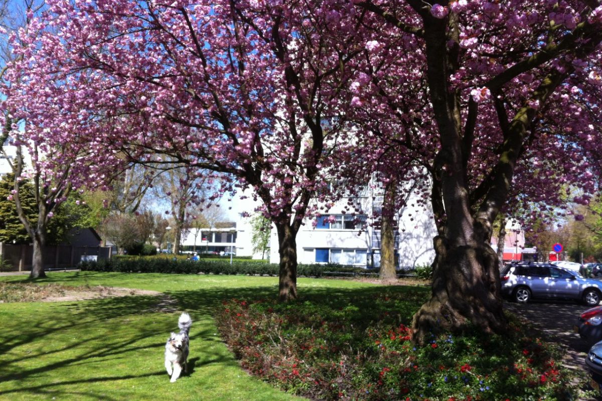 Dat is genieten zeker met een aangenaam zonnetje.