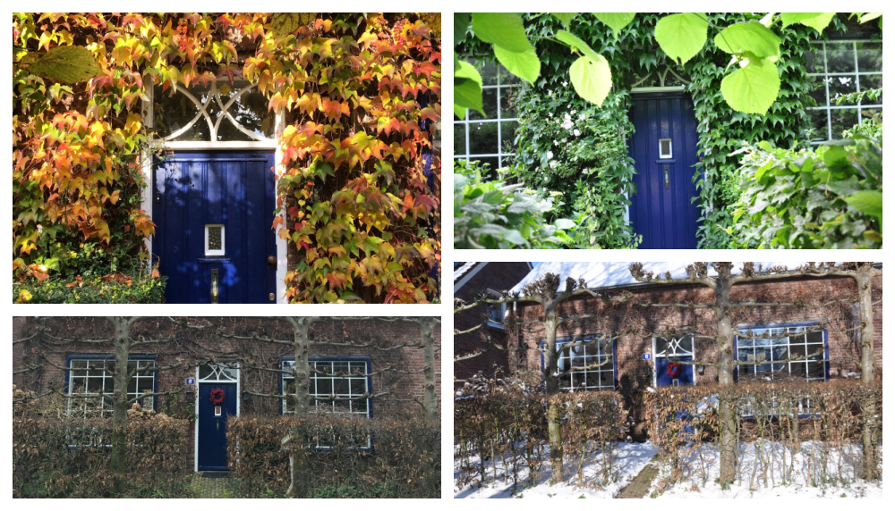 Ons huis in de 4 seizoenen: herfst