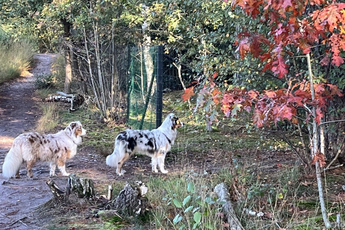 Welke seizoenen vind je de mooiste om foto’s te maken