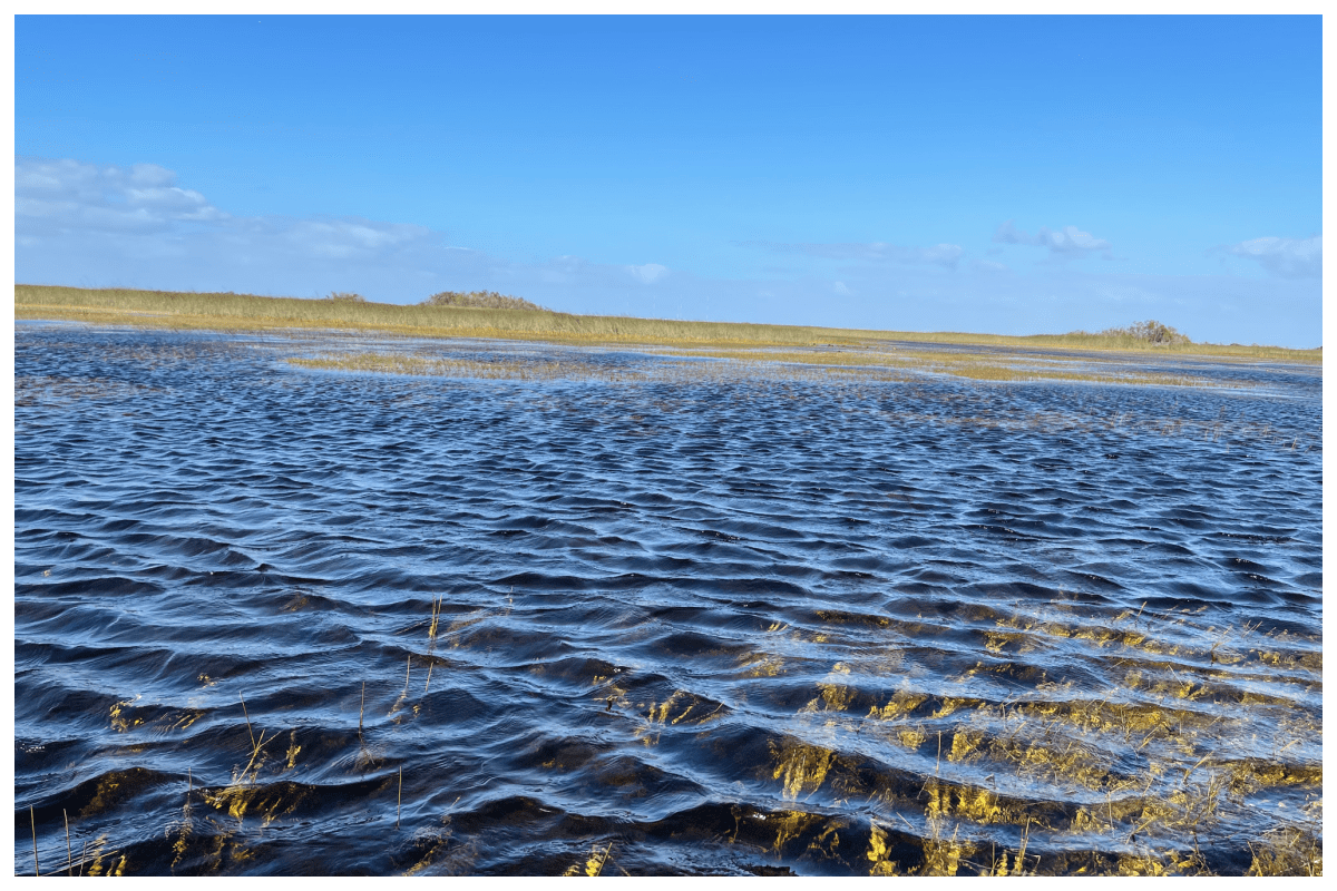 Het park werd in 1979 door UNESCO op de Werelderfgoedlijst geplaatst en in 2010 werd het uitgeroepen tot bedreigd werelderfgoed.