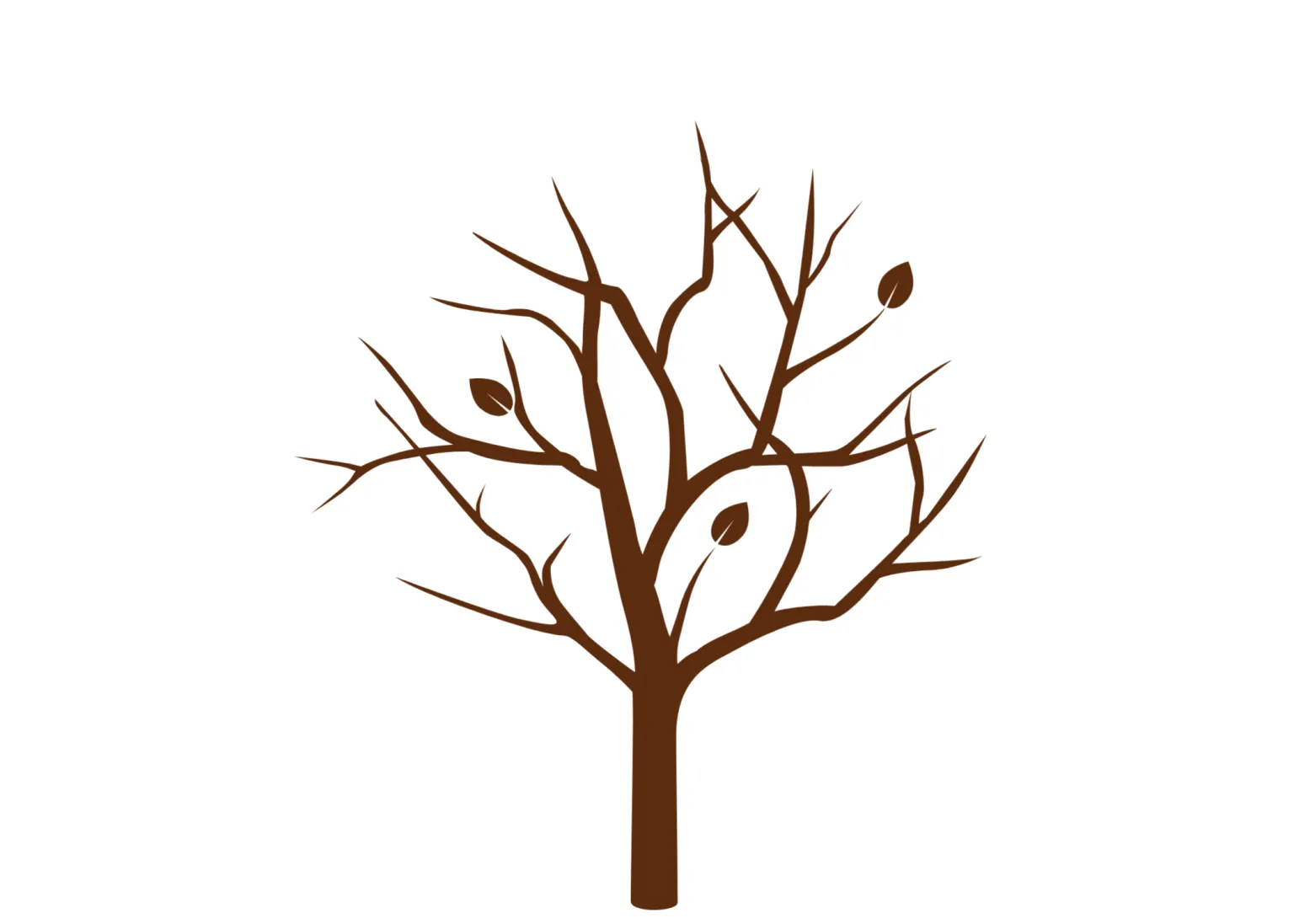 4 seizoenen boom knutselen