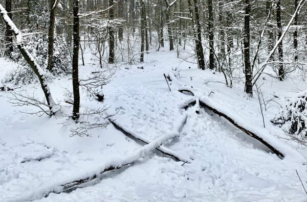 Behind the scenes: Maand Januari