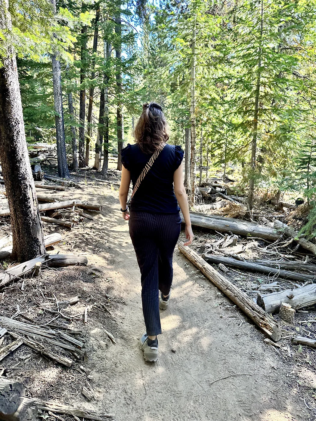 Favoriete seizoen foto