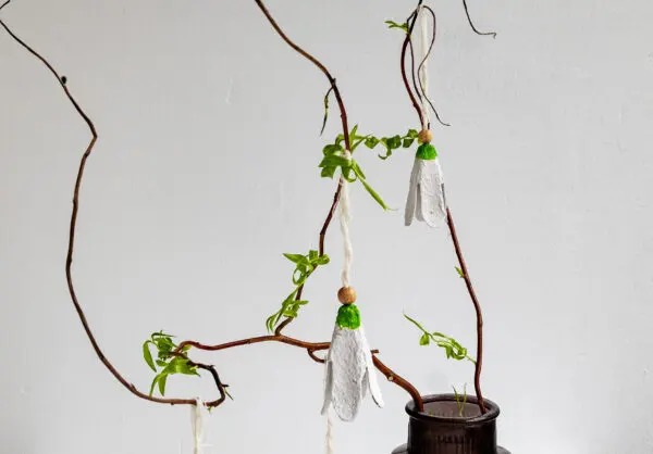 Lente knutsel: Sneeuwklokjes eierdozen