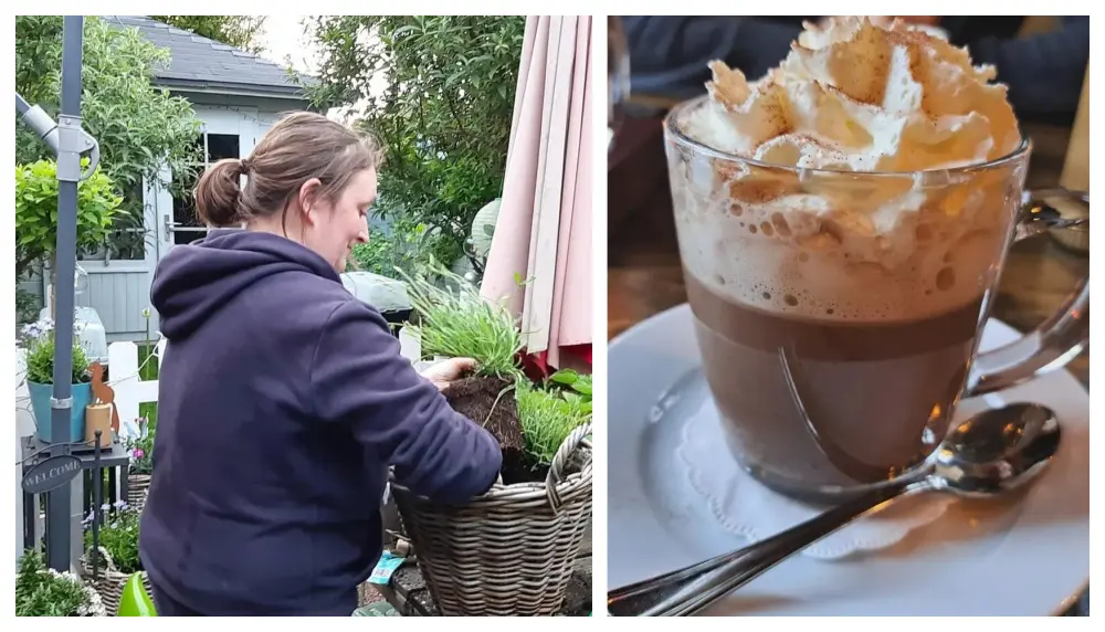 Welk seizoen of seizoenen zijn jouw favorieten?