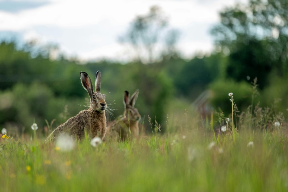 Wendy: Mijn favoriete seizoenen zijn de lente en de zomer