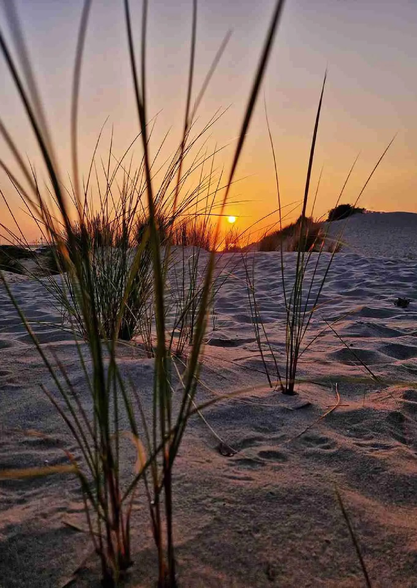 mijn favoriete seizoen_ de zomer