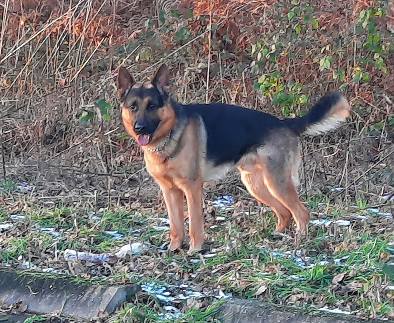 zwemmen is namelijk zijn favoriete sport