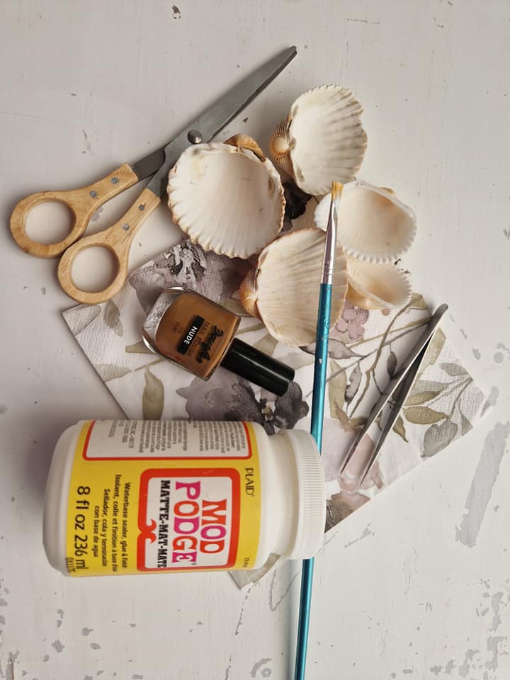 Benodigdheden Diy Zomerdecoratie met schelpjes