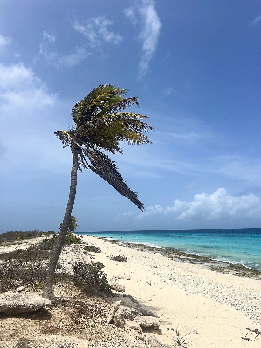 Bonaire, één van de drie ABC-eilanden