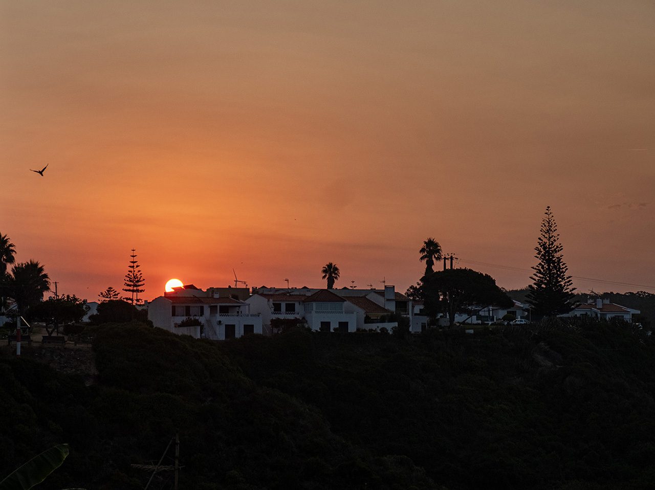 Warm weer vind ik heerlijk