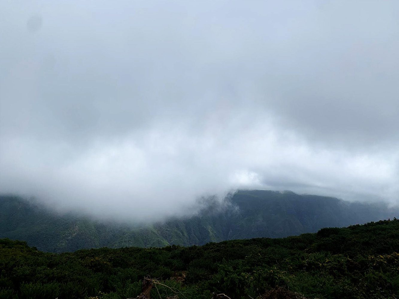Winter op Madeira ontsnappen aan de kou met een mild klimaat