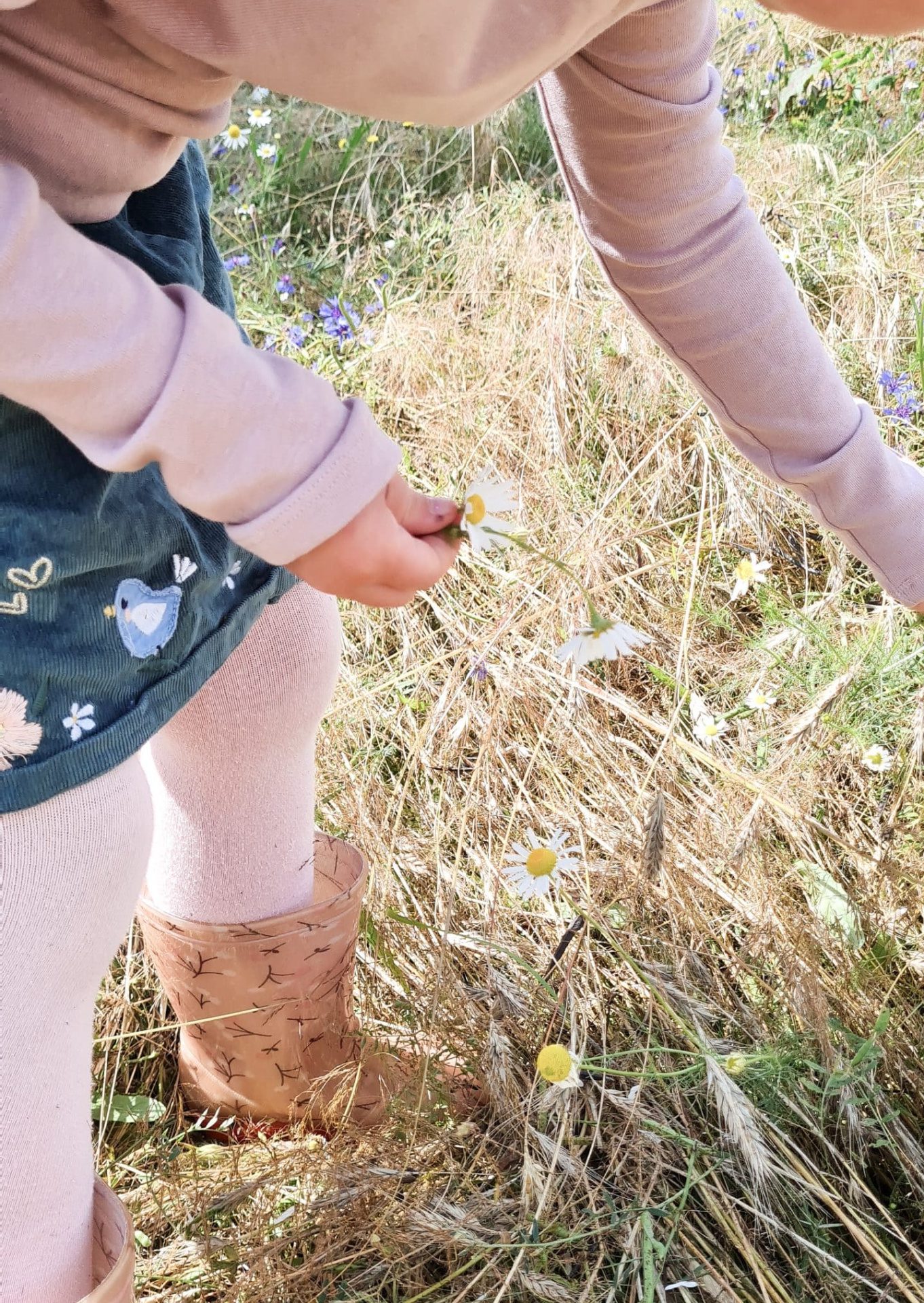 Het favoriete seizoen van Iris Lente