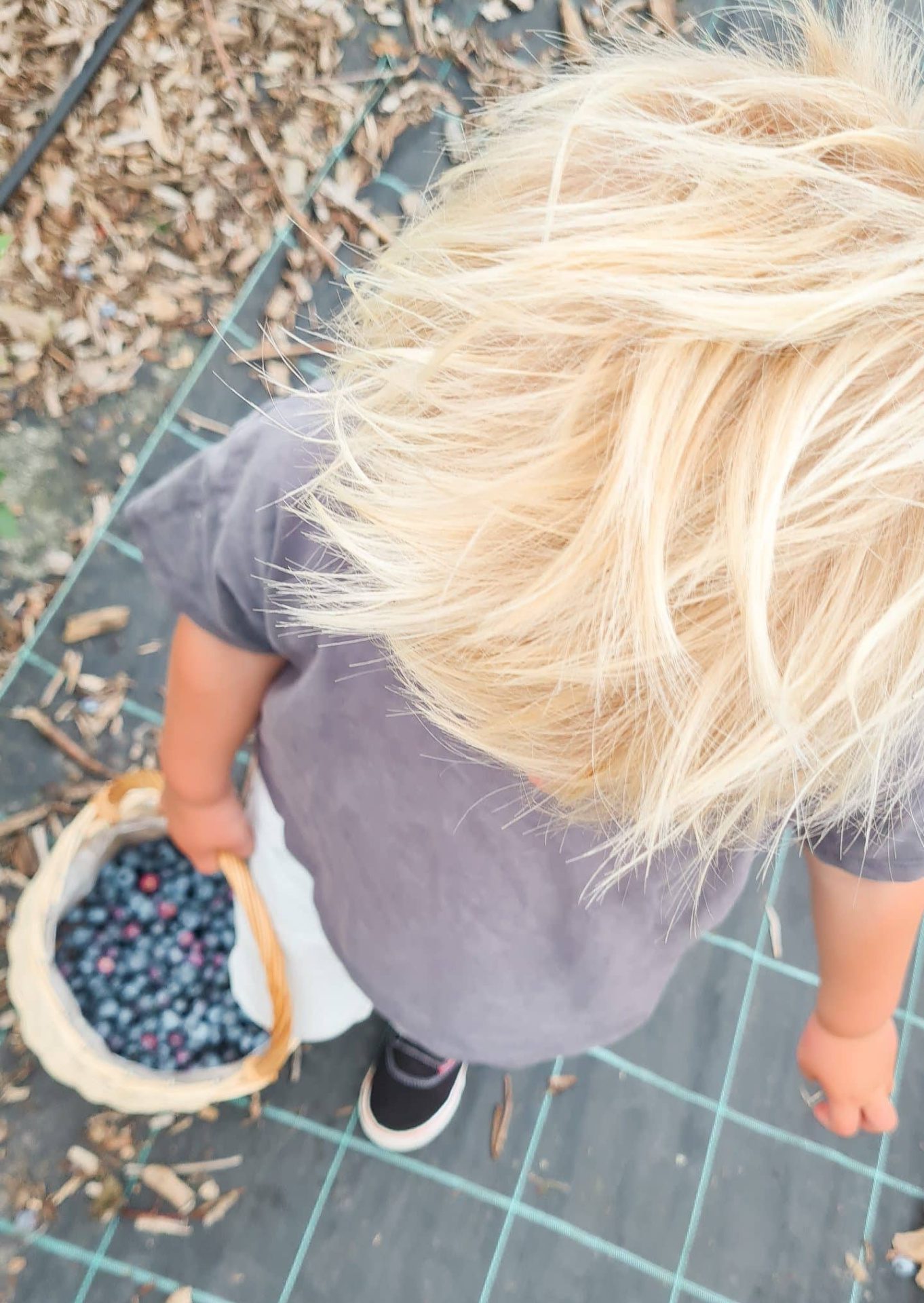 Wat zijn de lekkerste seizoen producten voor jou