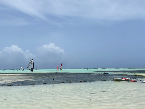 één van de drie ABC-eilanden|Bonaire heeft veel stranden|Vissersbootjes en karkoschelpen bij Lac Cai|Zoutwinning op Bonaire|Slavenhuisjes aan de zuidkust|Een ezeltje op de weg naar Lac Cai|Ingrediënts Restaurant|La Cantina|Rum Runners|B van Bonaire|Ocean Oasis Beachclub