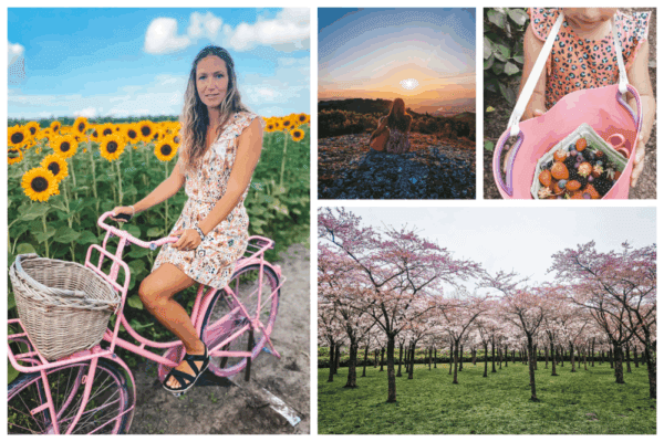 de Zomer geeft haar veel energie. Elize geniet echt van het mooie weer en de lang dagen.|Beschrijf het gevoel wat je krijgt met je favoriete seizoen.