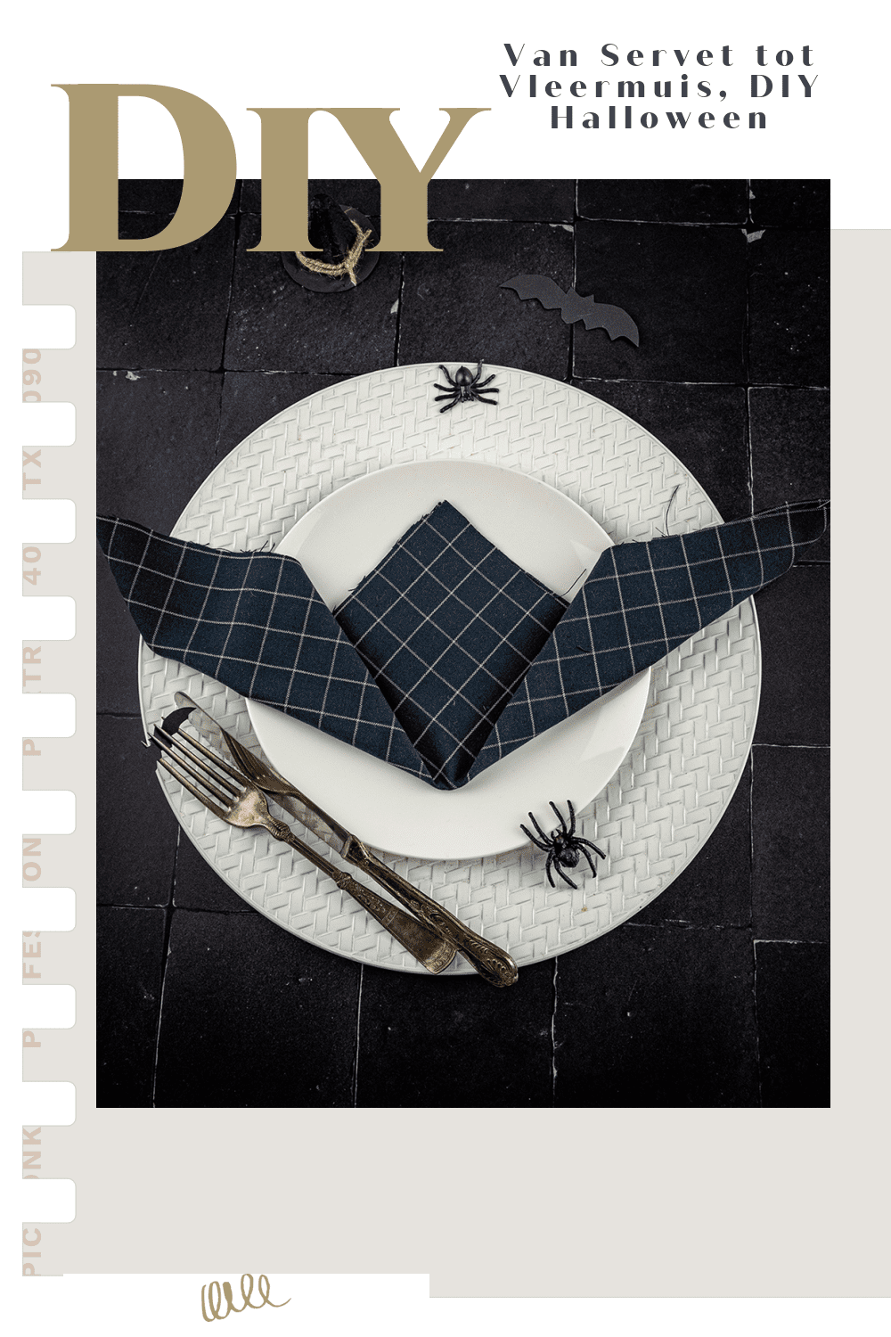 Pin: Van Servet tot Vleermuis, DIY Halloween