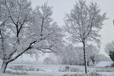 Sneeuwdagen in Nederland