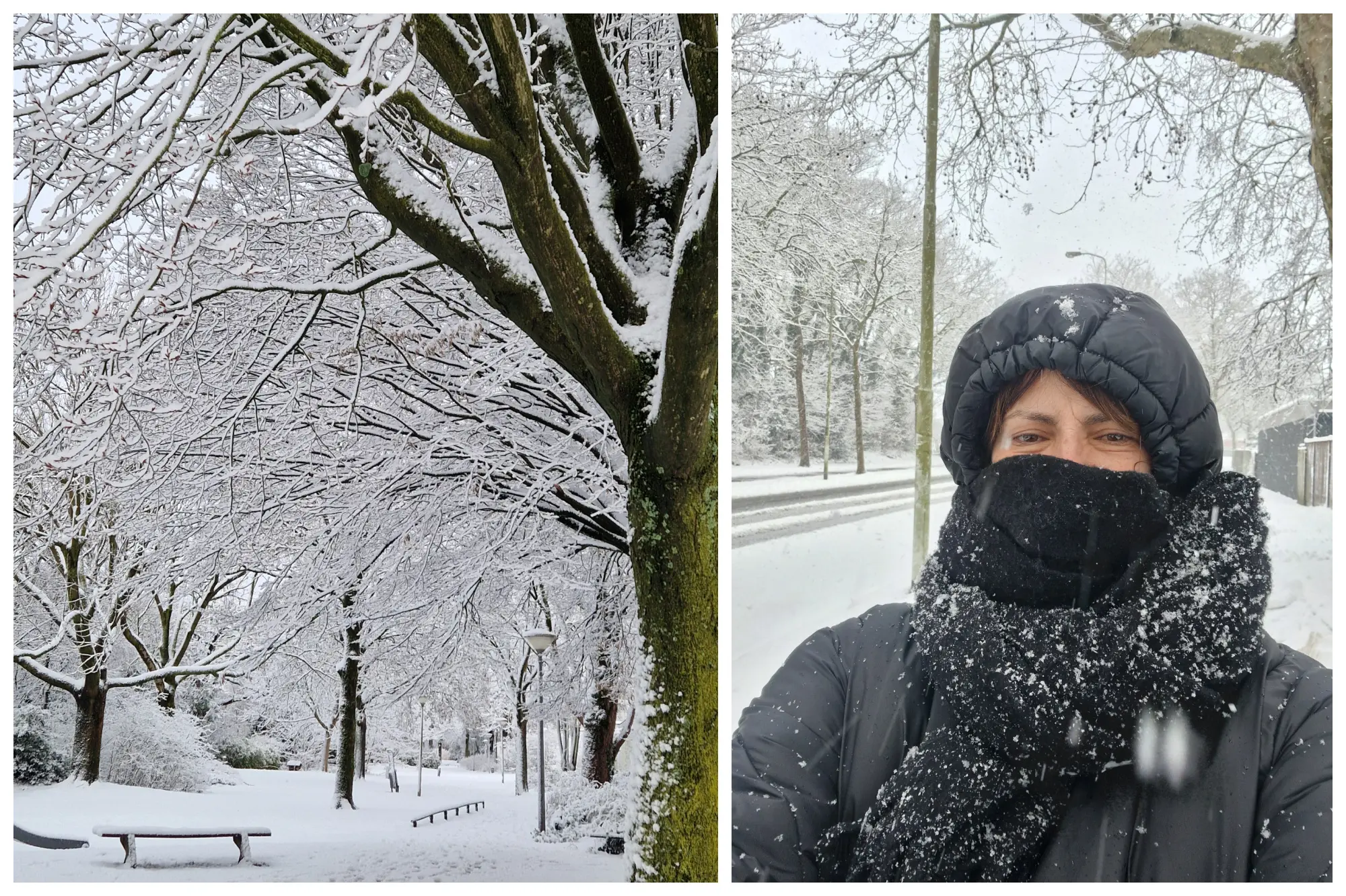 Sneeuwdagen in Nederland: mijn ervaring als Portugese