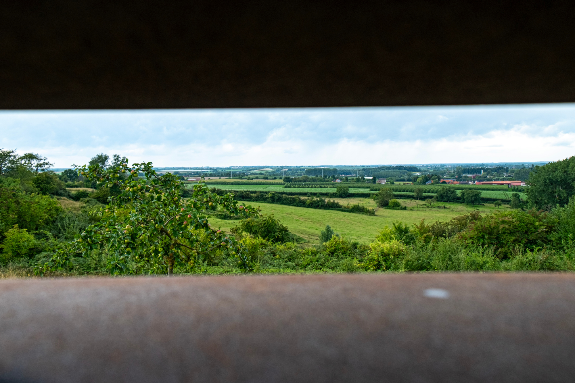 Borgloon & Sint‑Truiden_ kunst, erfgoed en natuur(1)