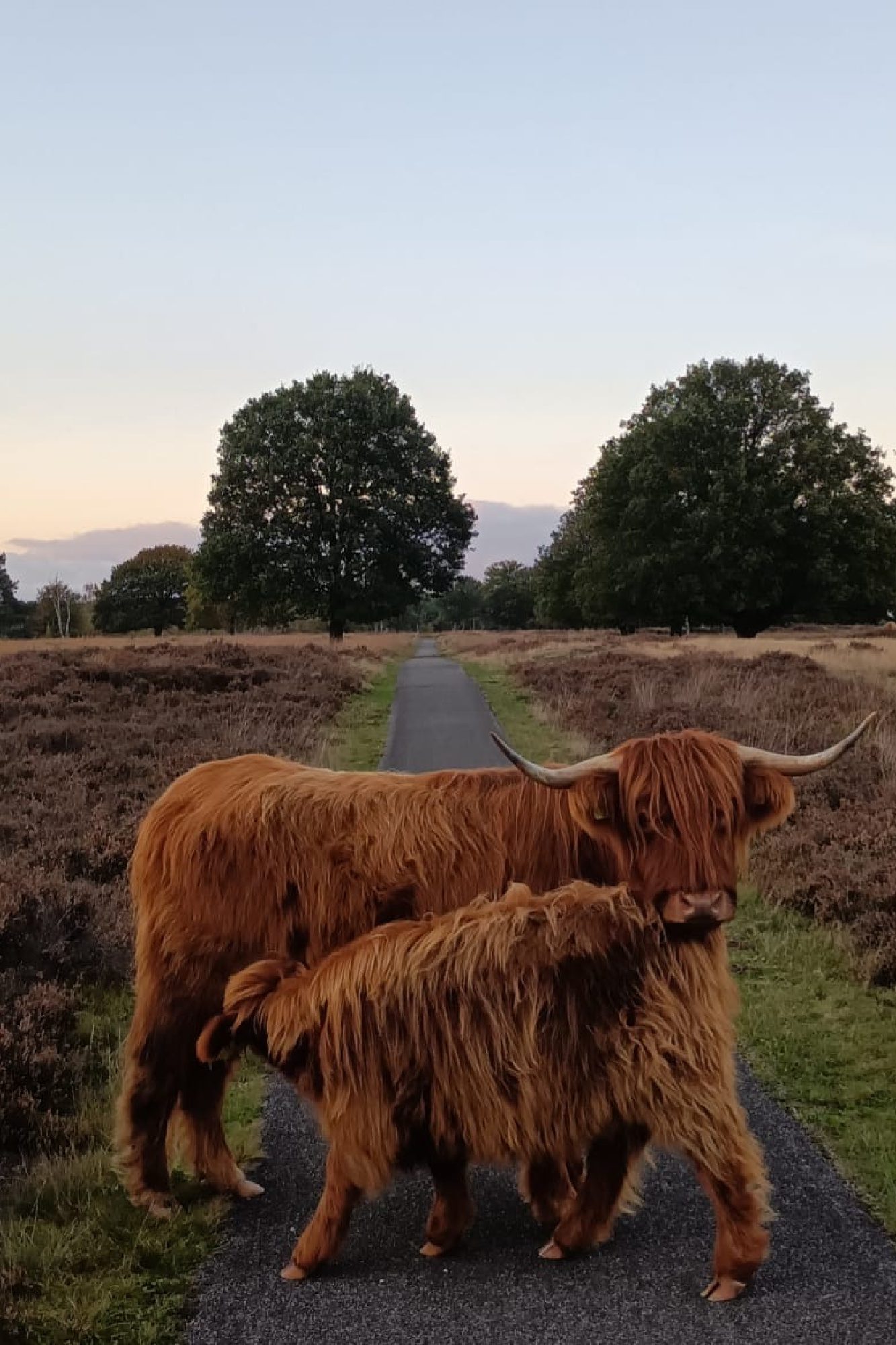 Landgoed Grote zand