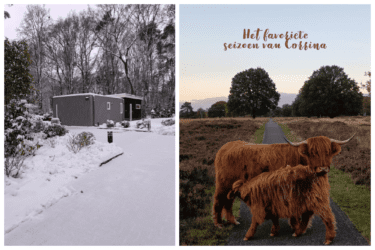 Het favoriete seizoen van Corrina