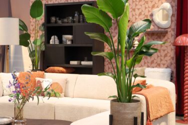 Ontdek De Bosrand: winkelinspiratie en online bestellen