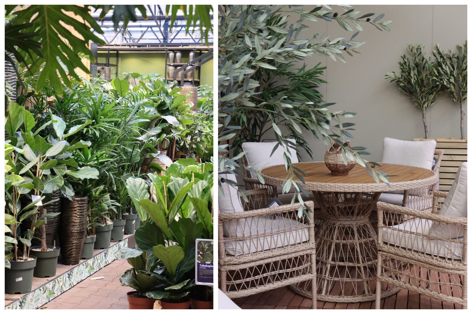 winkelinspiratie en online bestellen
