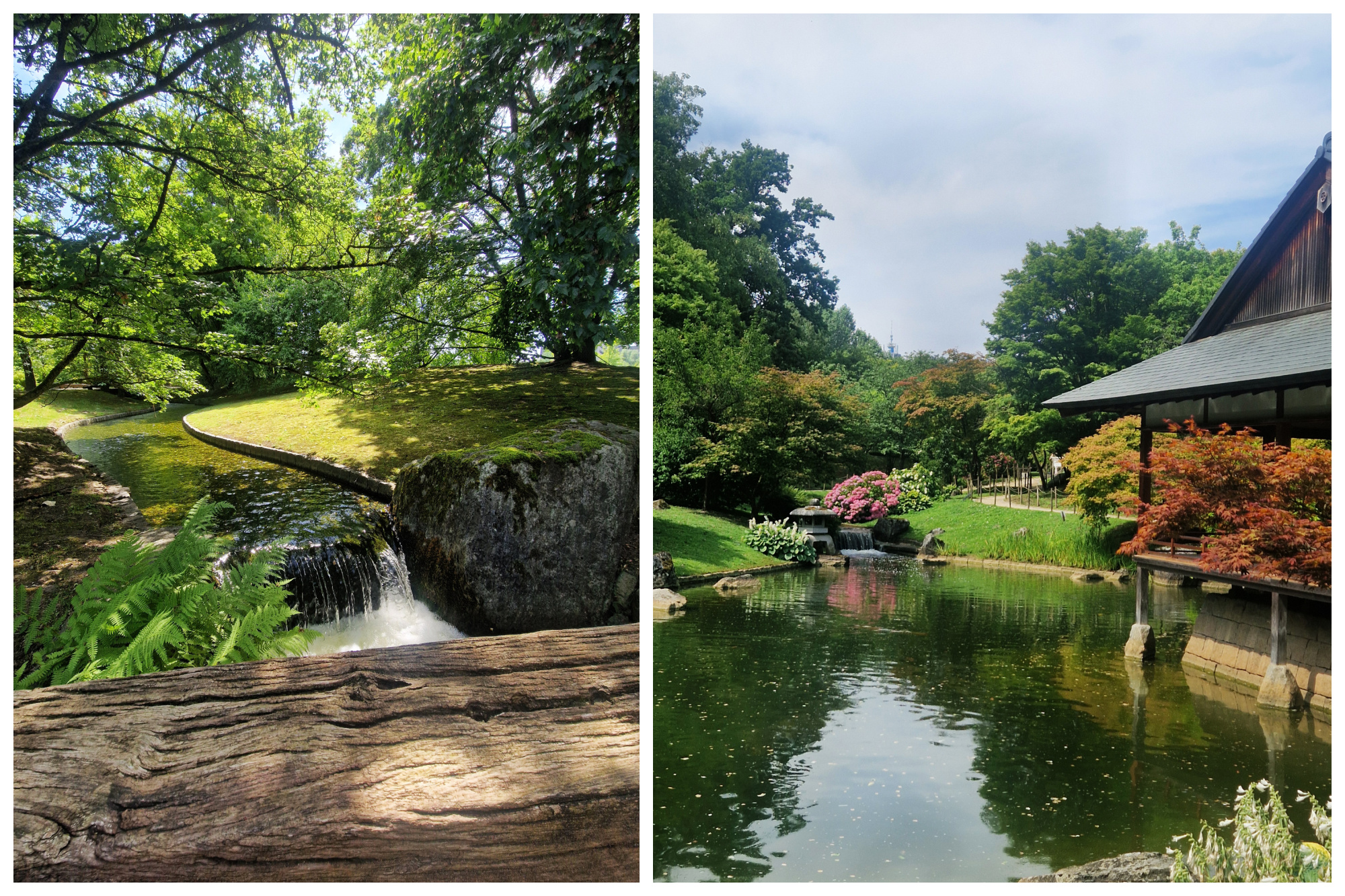 Camiel in de Japanse Tuin