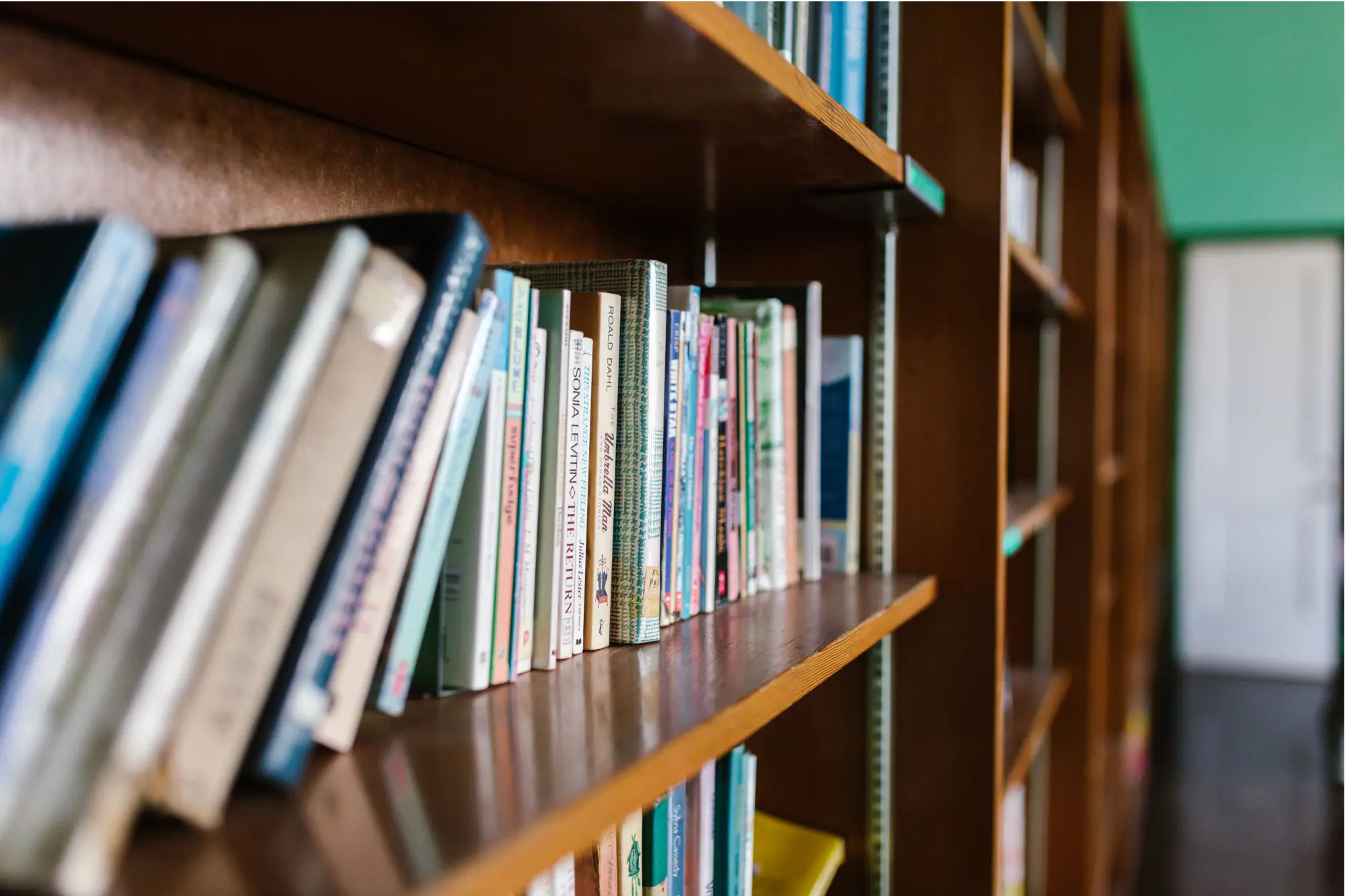 mooie kast vol boeken in de woonkamer mooie kast vol boeken in de woonkamer