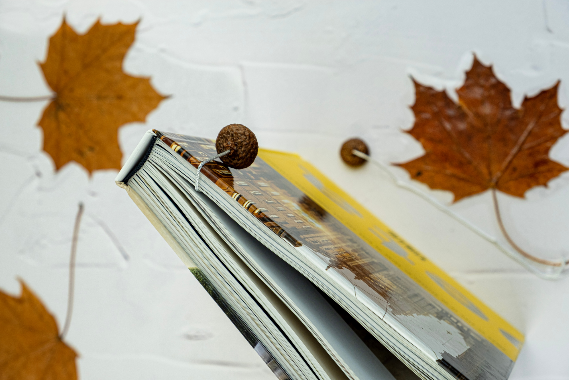 Diy boekenlegger met herfstbladeren