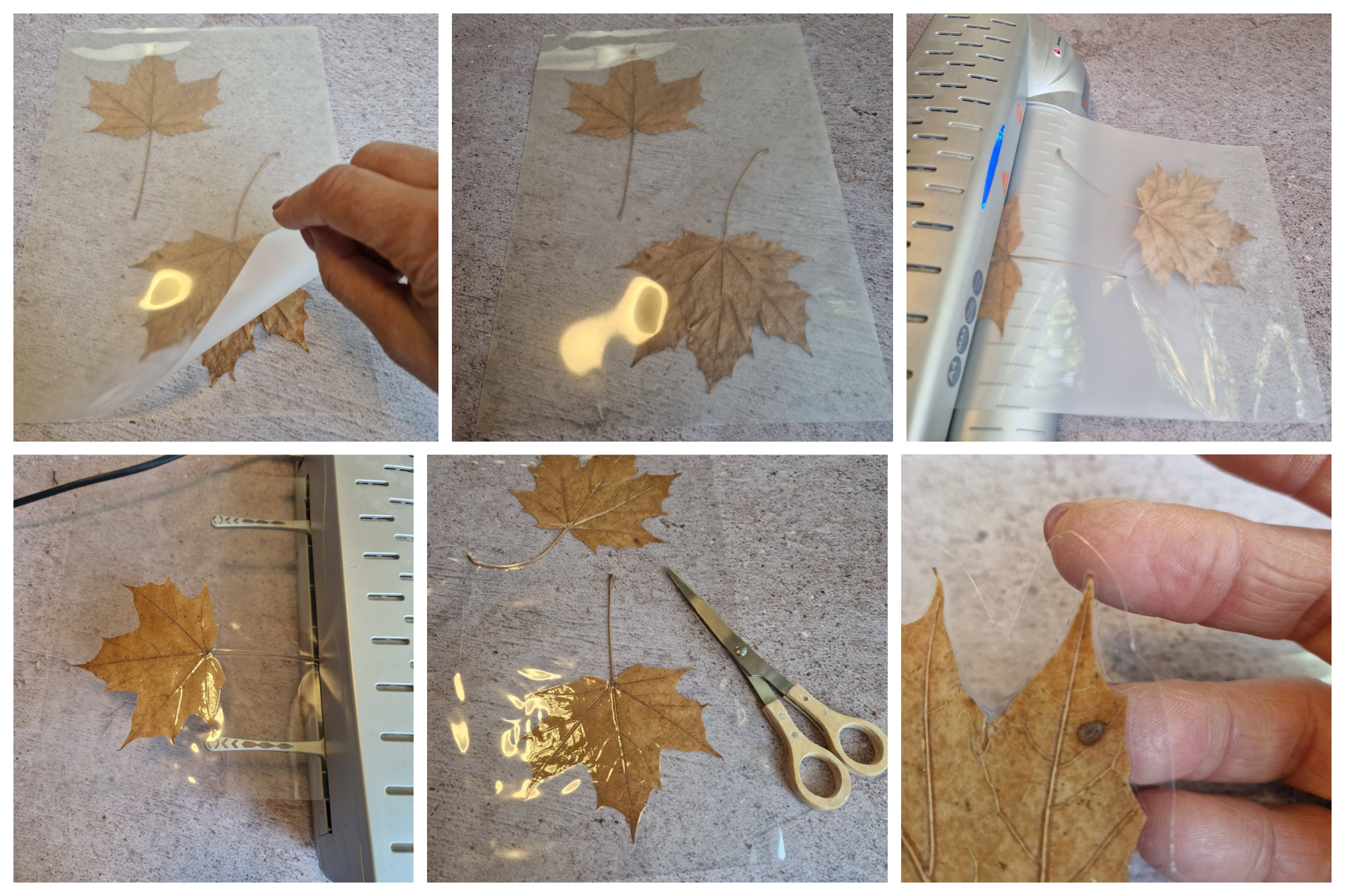Instructies: herfst Diy